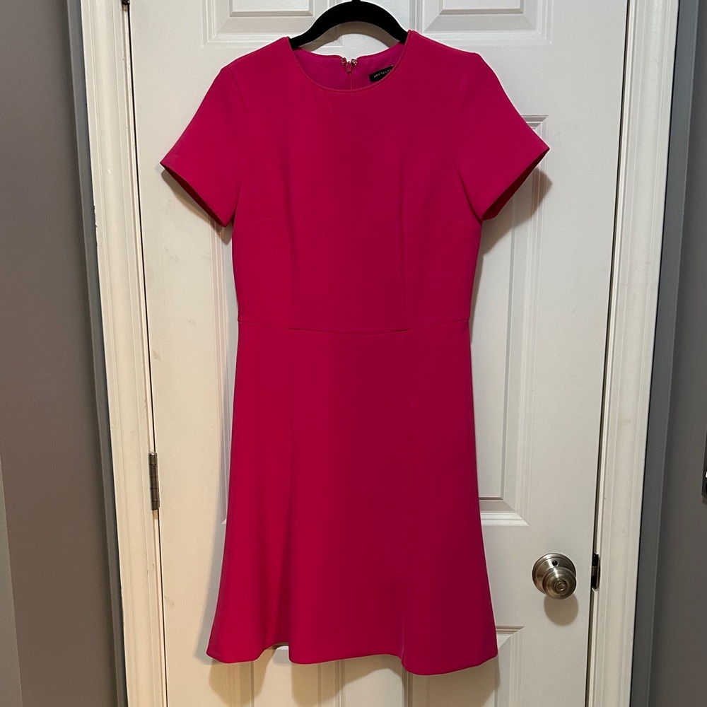 Ann Taylor Vibrant Pink Mini Dress